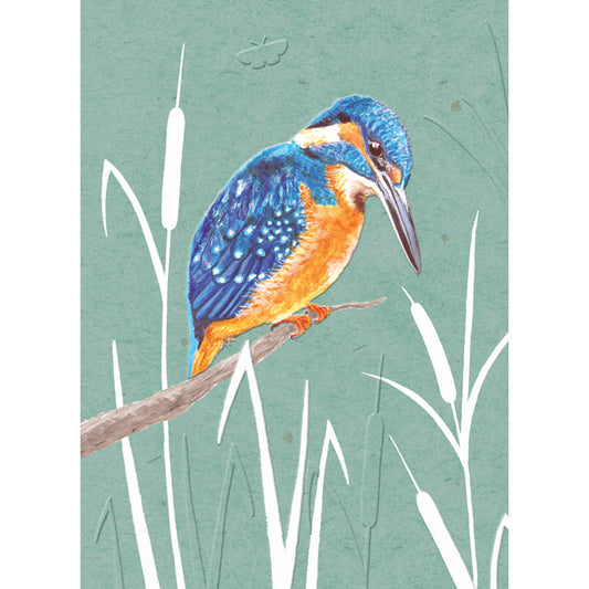 RSPB - In The Wild Card - Kingfisher