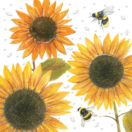Beautiful Blooms Card Collection - Sunflowers