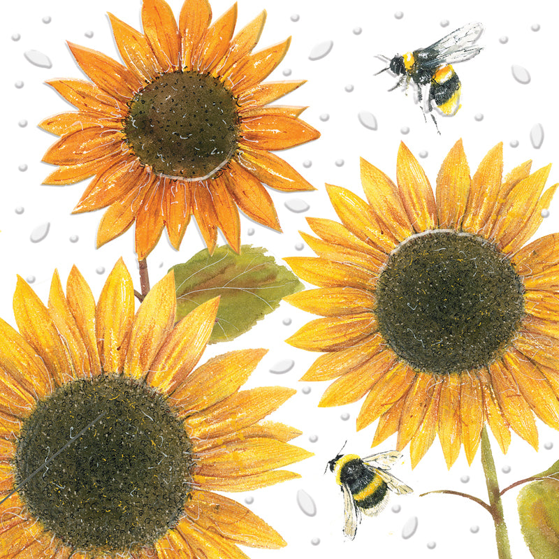 Beautiful Blooms Card Collection - Sunflowers