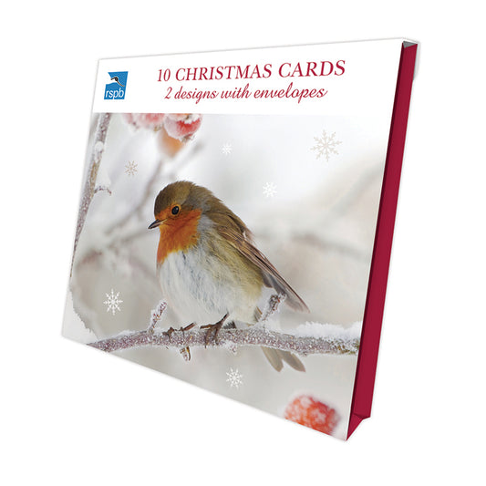 Frosty Perch - RSPB Luxury Christmas 10 Card Pack