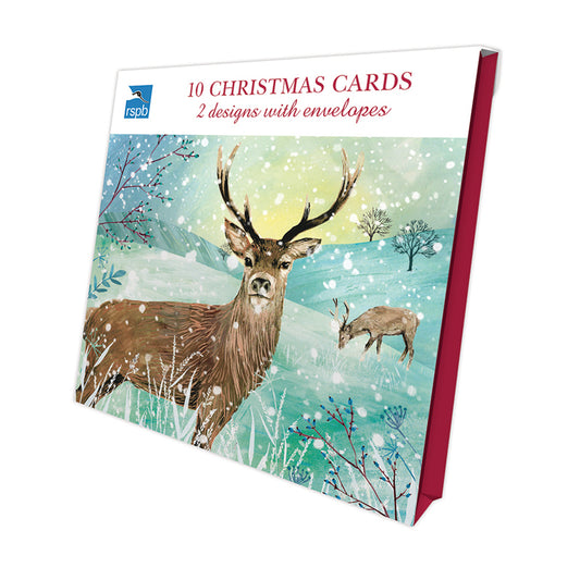 Winter Fields - RSPB Luxury Christmas 10 Card Pack