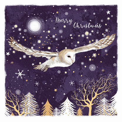 Owl & Forest - RSPB Small Square Christmas 10 Card Pack