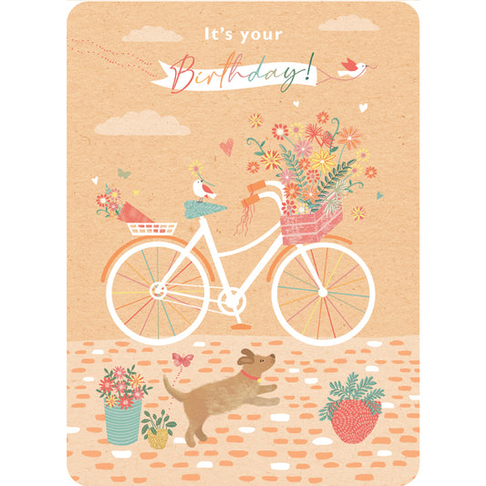 Beautiful Moments Card Collection - Bicycle