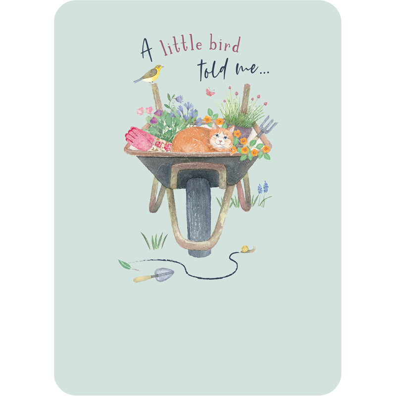 Beautiful Moments Card Collection - Wheelbarrow & Cat