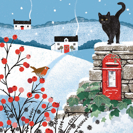 Charity Christmas Card Pack - Country Postbox