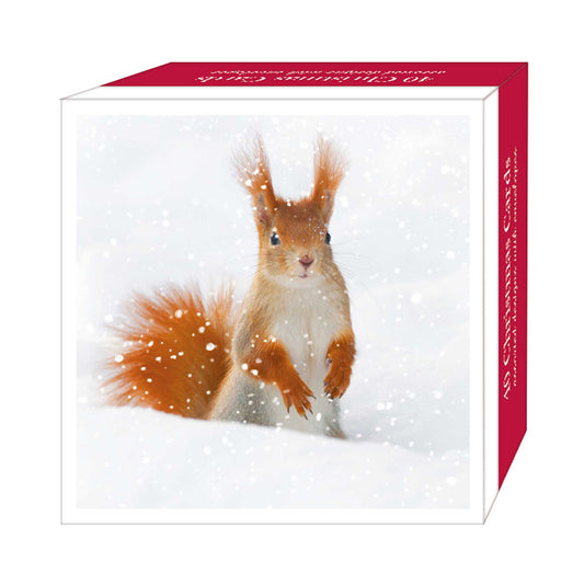 Assorted Christmas Cards - Snow Creatures