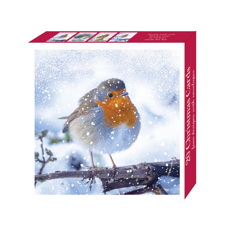 Assorted Christmas Cards - Robins in Snowfall