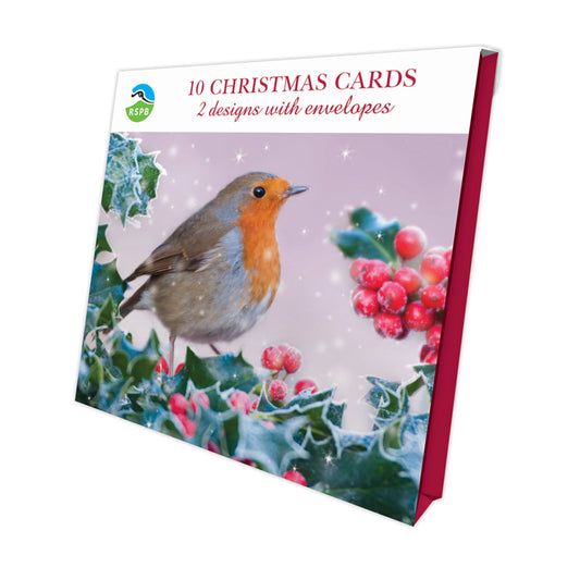 Christmas Visitors - RSPB Luxury Christmas 10 Card Pack