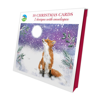 Moonlight Friends - RSPB Luxury Christmas 10 Card Pack
