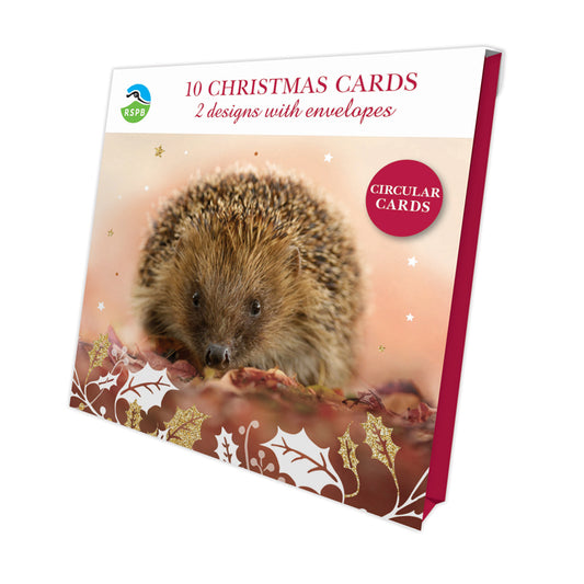 Winter Creatures - RSPB Luxury Christmas 10 Card Pack