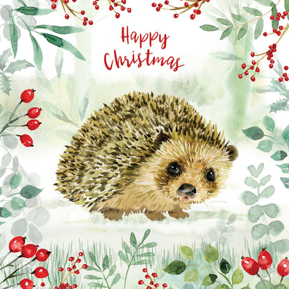 Hedgehog & Berries - RSPB Small Square Christmas 10 Card Pack