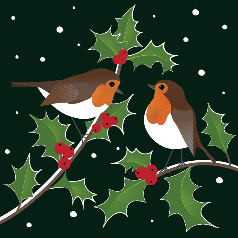 Robins & Holly - RSPB Small Square Christmas 10 Card Pack