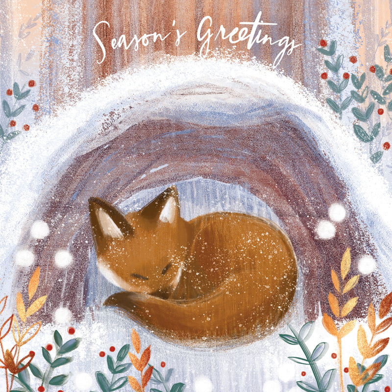 Snuggling Fox - RSPB Small Square Christmas 10 Card Pack