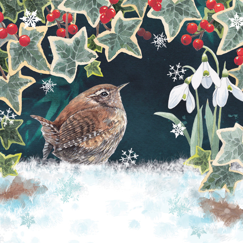 Wren & Ivy - RSPB Small Square Christmas 10 Card Pack