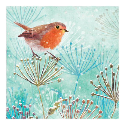 Winter Robin - RSPB Small Square Christmas 10 Card Pack