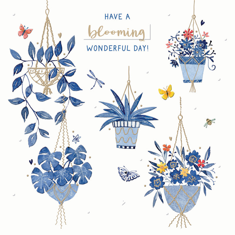Blue Willow Card Collection - Hanging Plants