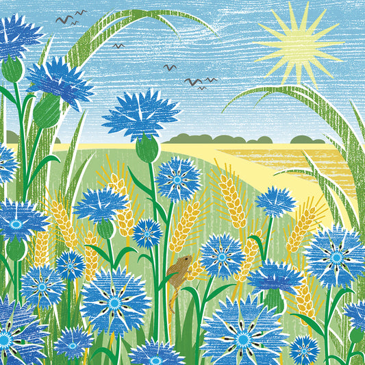 Quayside Gallery Card Collection - Cornflowers