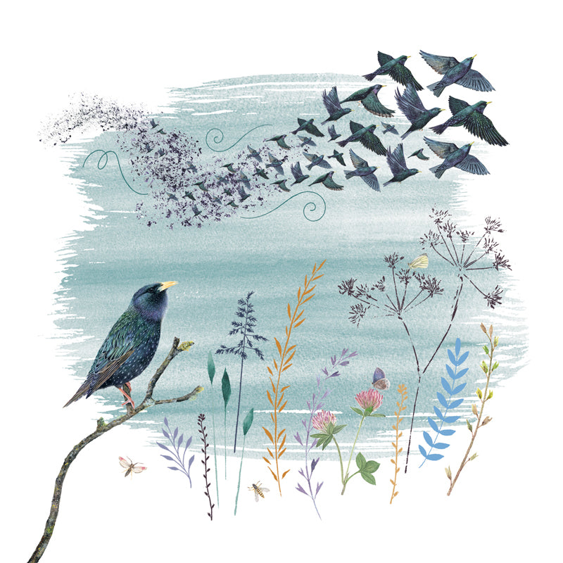 RSPB Beyond The Hedgerow Card Collection - Starling Murmuration