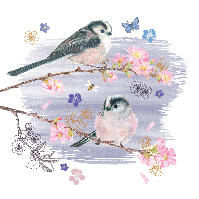 RSPB Beyond The Hedgerow Card Collection - Long-Tailed Tits on Blossom