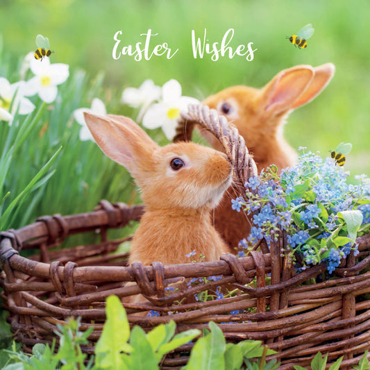 Easter 5 Card Pack - Basket Bunnies