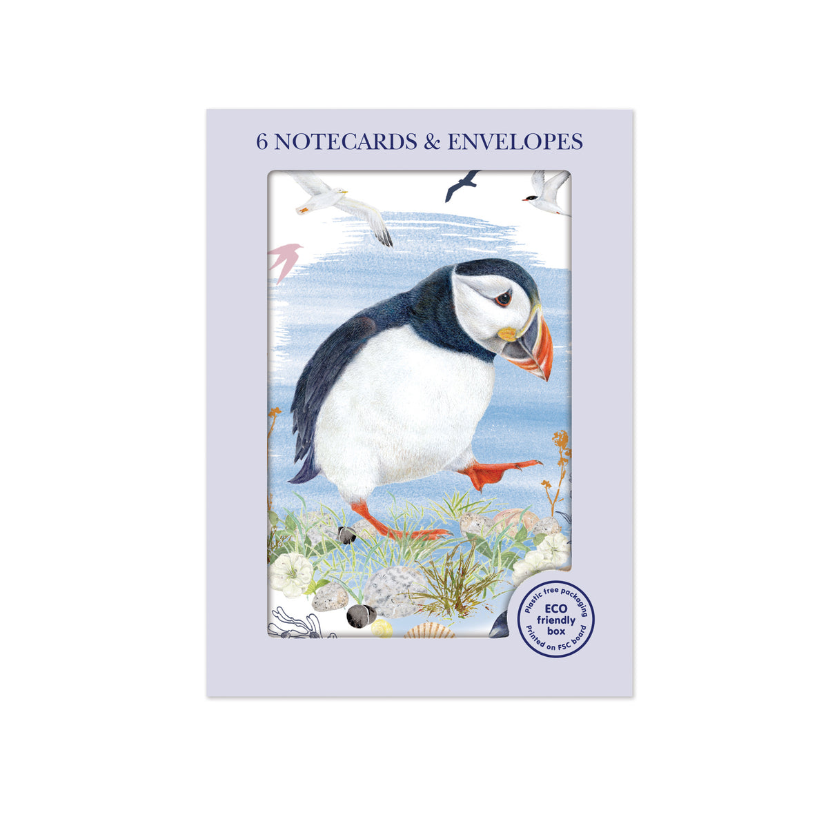 Mini Puffin Pattern Banknote Mini Notecard Pack (6 Cards) - Puffin – Otter House