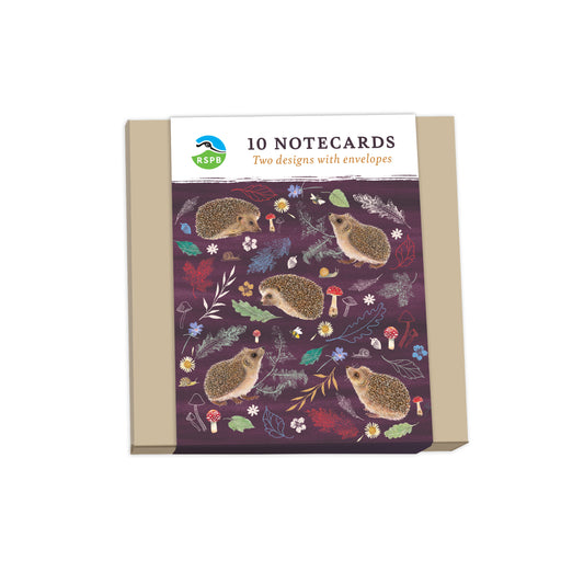 RSPB Beyond The Hedgerow Stationery - (10 Cards) Square Notecard Pack - Hedgehogs Leaves