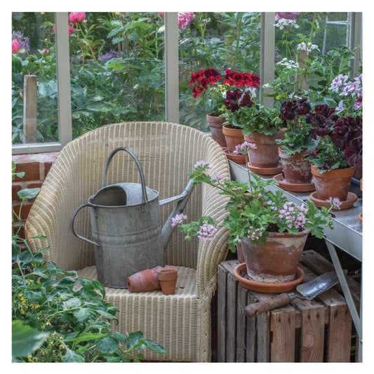 The Garden Studio Card - Chair and Watering Can