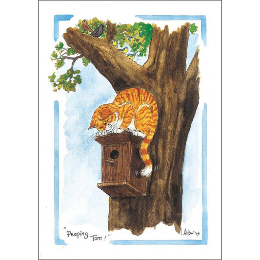 Alison's Animals Card - Peeping Tom