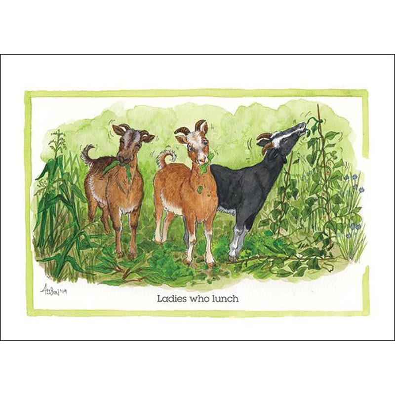 Alison's Animals Card - Ladies Who Lunch