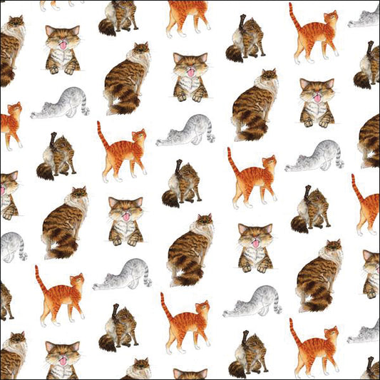Gift Wrap - Alison's Animals - Cat (Single Sheet)