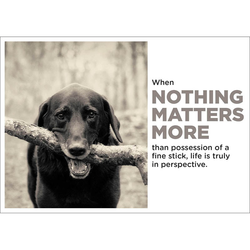 Barking at the Moon Card - Nothing matters more than a fine stick (Splimple)
