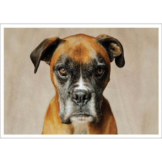 Barking at the Moon Card - Boxer (Splimple)