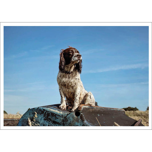 Barking at the Moon Card - Spaniel (Splimple)