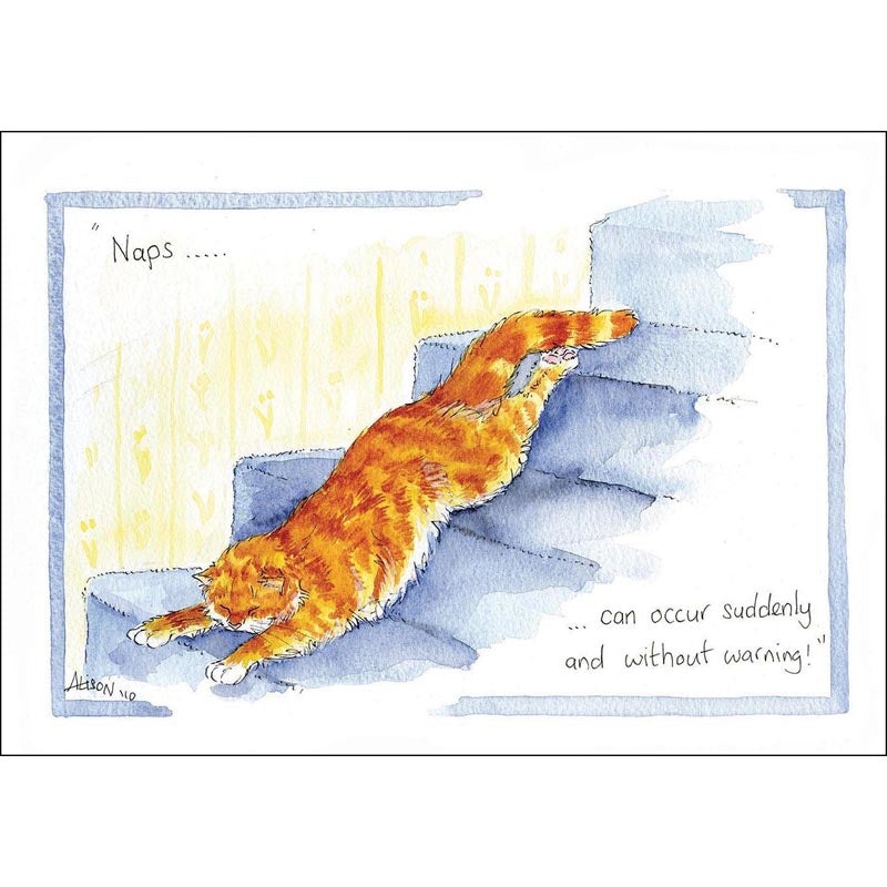 Alison's Animals Card - Naps Can Occur Suddenly