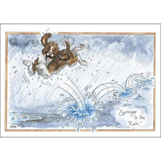 Alison's Animals Card - Springer In The Rain