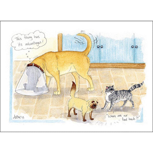 Alison's Animals Card - Where Are Our Food Bowls?
