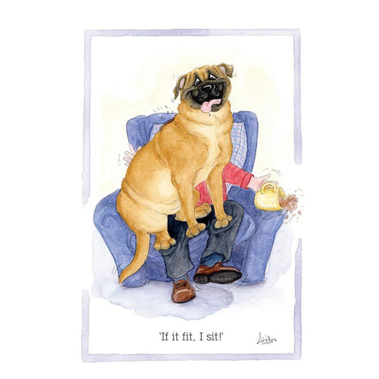 Alison's Animals Card - If I Fit, I Sit