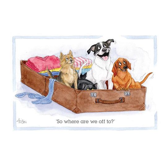 Alison's Animals Card - So Where Are We Off To?