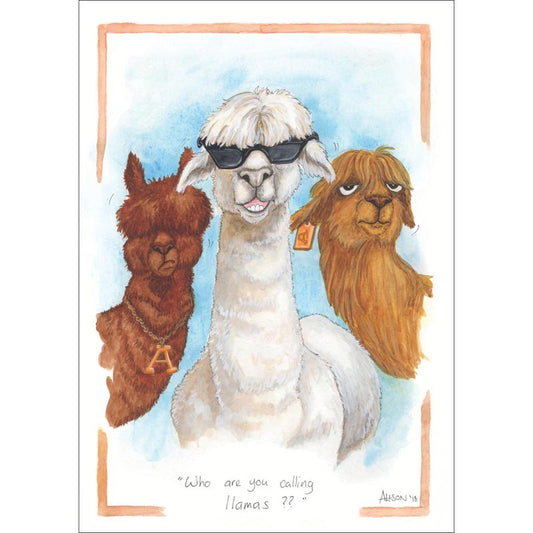 Alison's Animals Card - Who Are You Calling Llamas?